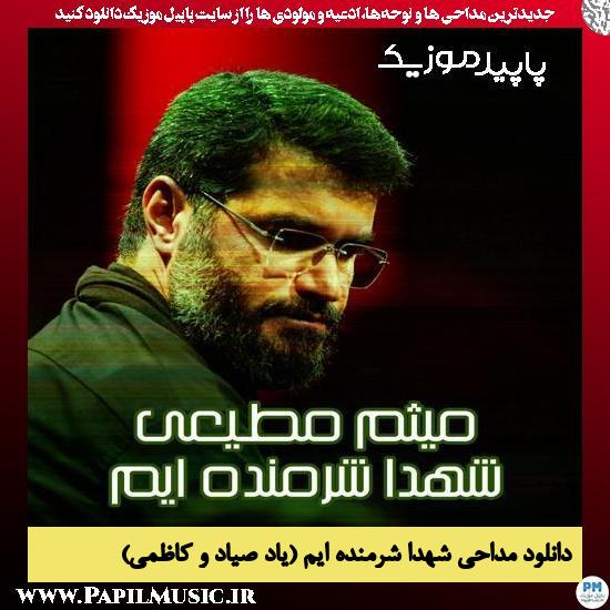دانلود مداحی شهدا شرمنده ایم (یاد صیاد و کاظمی) از میثم مطیعی